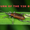 Y2K + 20 Bug