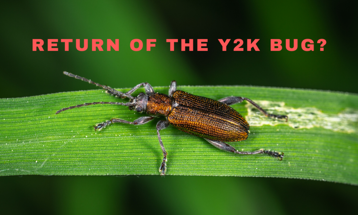 Y2K-Type Bug Hits New York City And Various Businesses 20 Years